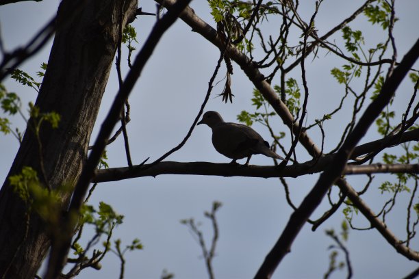 “在那里图片下载