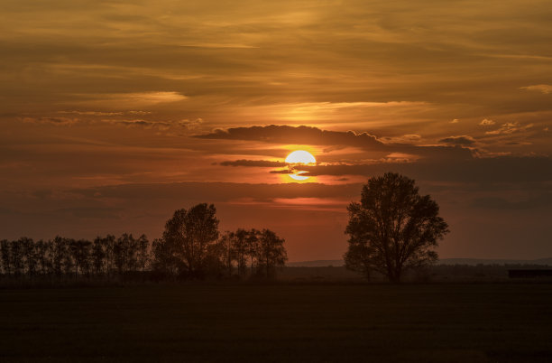 奥地利布尔根兰Neusiedl湖国家公园的日落图片下载