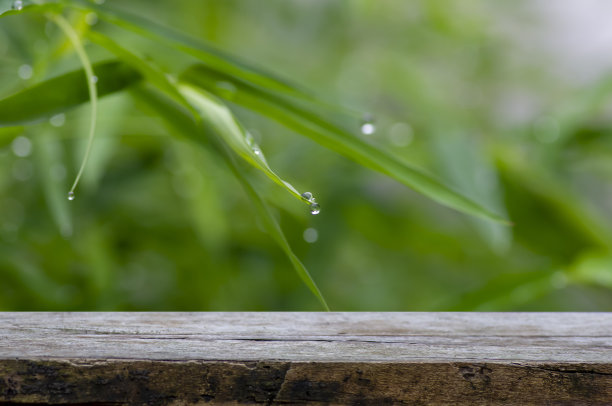旧木空桌为产品展示，前竹绿叶，浅焦点图片下载