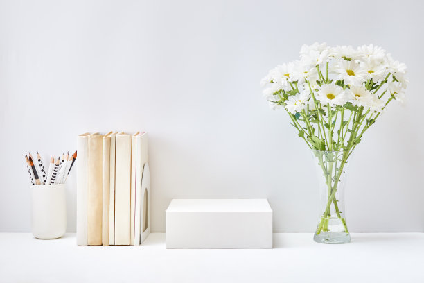 空的白色盒子和书，花瓶里的白花，浅色背景上的办公用品。展示广告产品的横幅模型图片下载