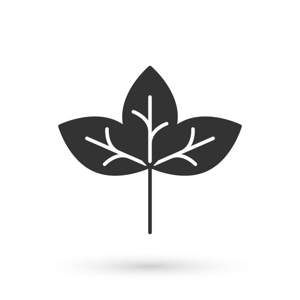 灰色叶图标孤立的白色背景图片下载
