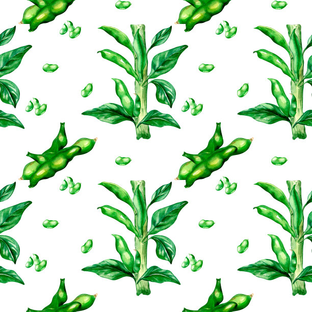 种植青豆，水彩天衣无缝图案图片下载