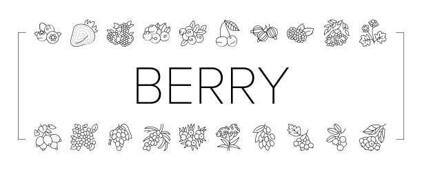 浆果美味和维生素食品图标集向量图片下载