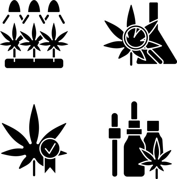 白色背景上的大麻种植黑色轮廓图标集图片下载