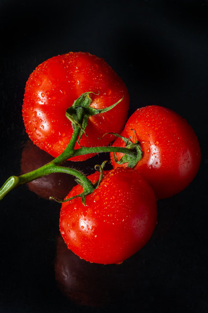 照片上的西红柿与水滴在黑色的背景图片下载
