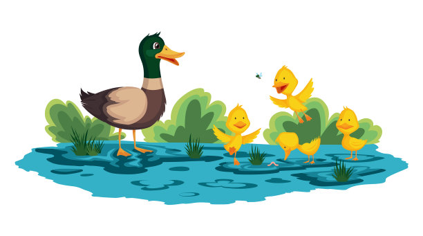 鸭妈妈和小鸭子在散步或游泳图片下载