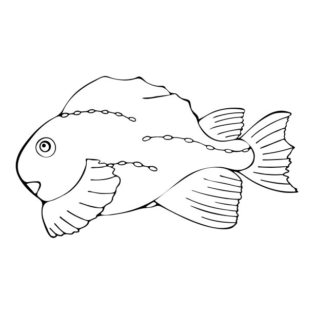 手绘黑白鱼涂鸦素描插图。图片下载