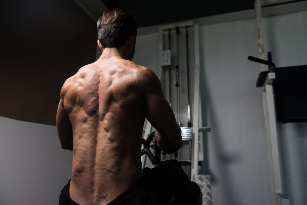 肌肉发达的男人正在为背部做举重运动图片下载