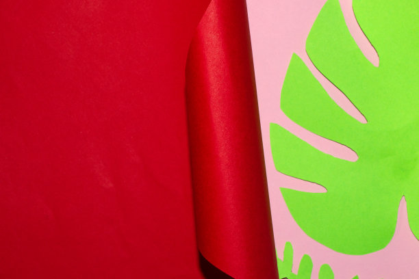 红纸下展开粉红色的纸，绿色的叶子，创造性的热带爱情设计，改变生活的新一面，去度假，遇见某人图片下载