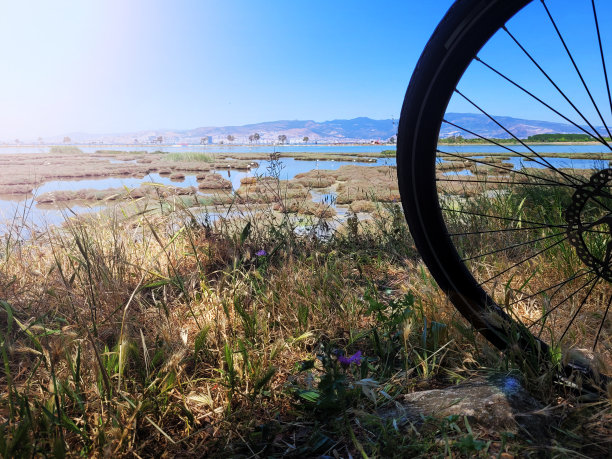 骑自行车去安静的自然地方图片下载