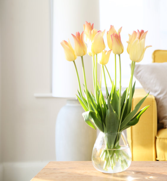 黄色郁金香图片下载