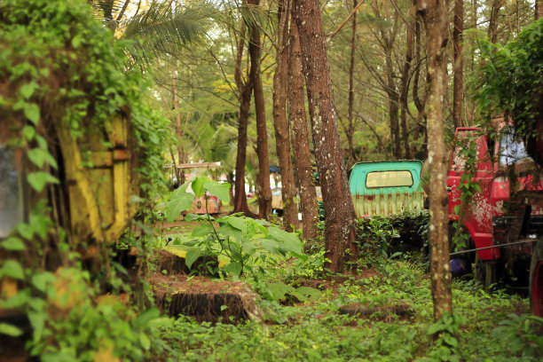 旧卡车图片下载