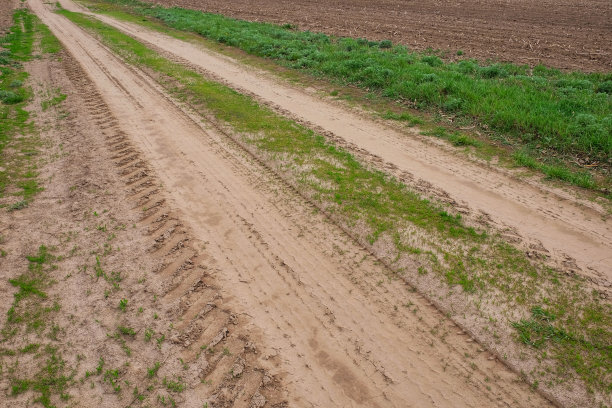 土路两旁长满了春草。背景。图片下载