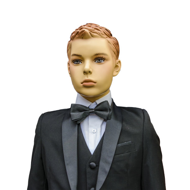 男孩人体模型孤立的照片图片下载