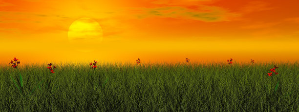 带花的草地- 3D渲染图片下载