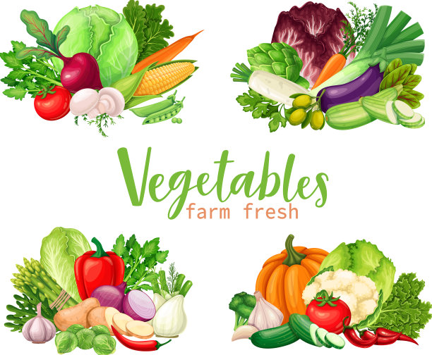 蔬菜图标设置图片下载