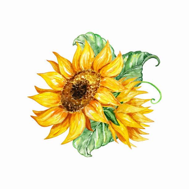 水彩秋叶花束图片下载