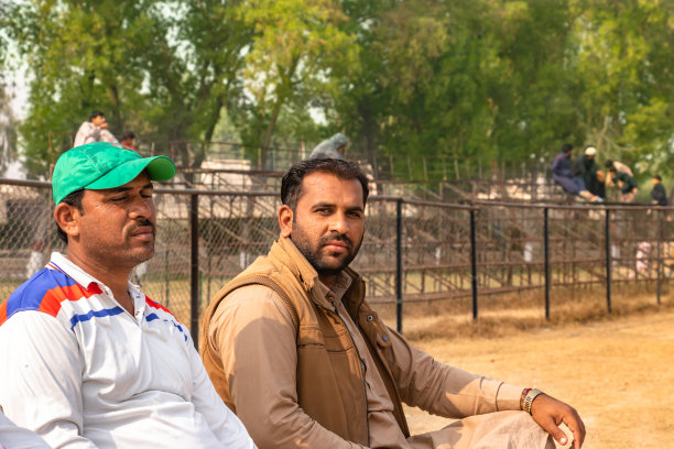 板球队的沙发看球员图片下载