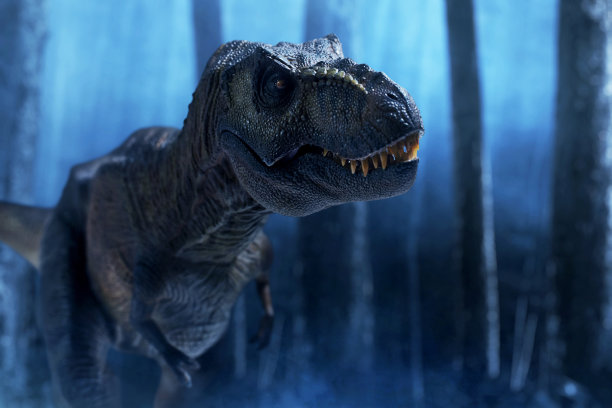 恐龙，丛林中的雷克斯暴龙图片下载