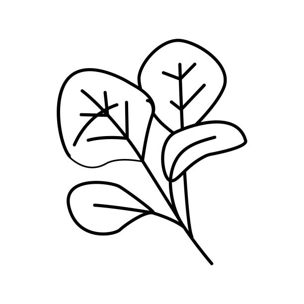 红色菠菜线图标矢量插图图片下载