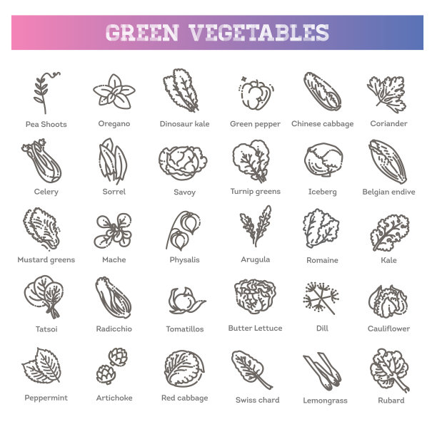 素食健康食品叶集图片下载