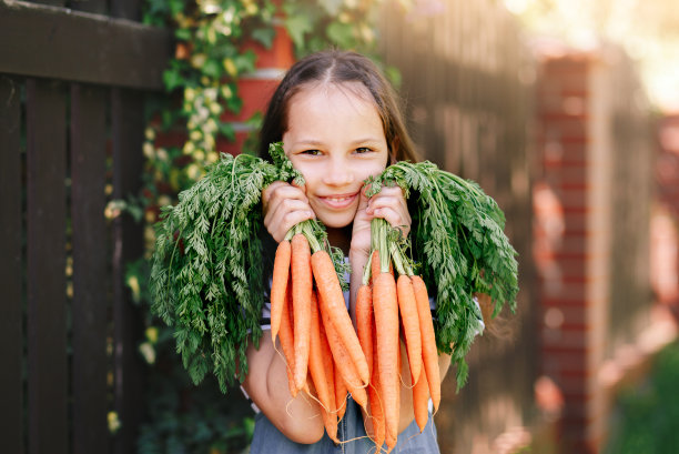 花园里拿着新鲜胡萝卜的微笑小女孩图片下载