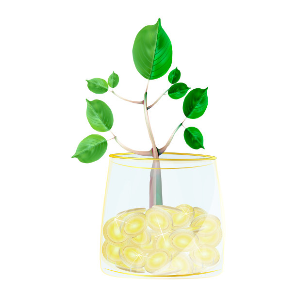 金钱树孤立在白色背景图片下载