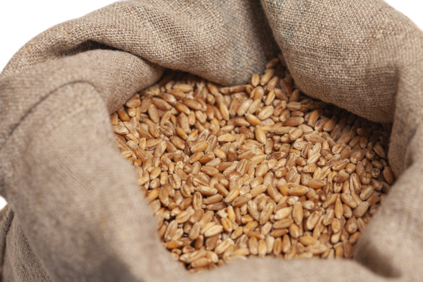 一袋孤立在白色背景的小麦图片下载