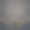 黑色的印有印度金色的祝贺传单图片下载