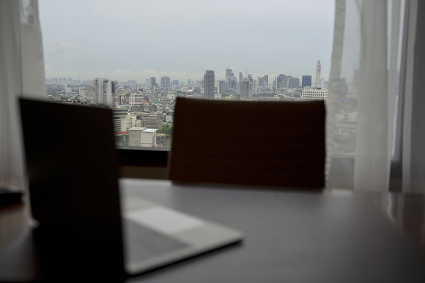 带城市景观的商务房。图片下载