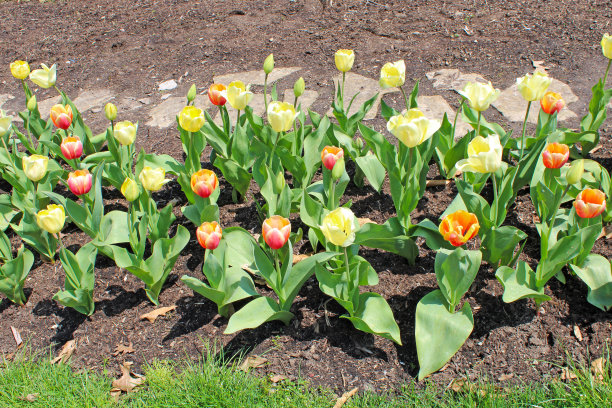 美国俄亥俄州茵尼斯伍德公园的春天图片下载