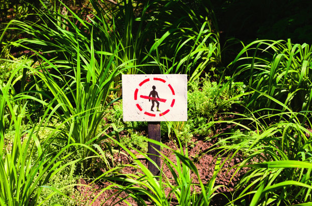 不要踩草坪标志。不要踩草地标志。不要交叉标记。红线穿过的黑色人影在红色的圆圈里图片下载