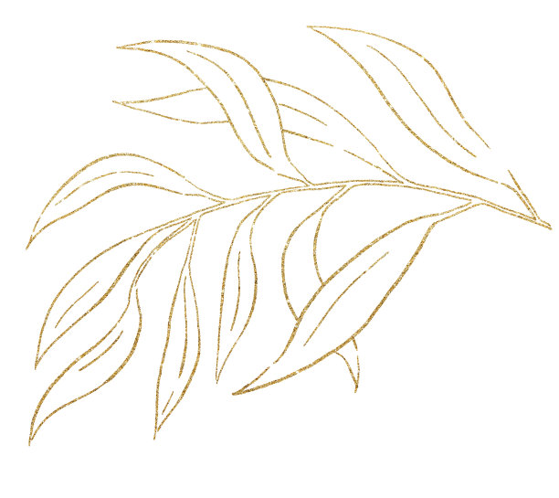 金黄色的轮廓植物学叶子插图孤立图片下载