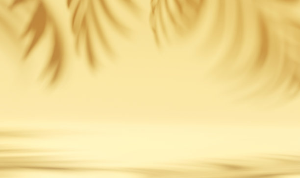 产品展示的最小抽象背景。黄墙上的叶影。春季和夏季。图片下载