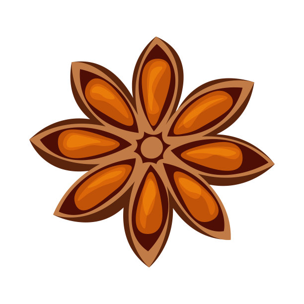 八角星香料为烹调八甸调料图片下载