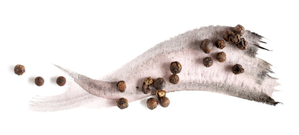 黑胡椒在水彩画上图片下载