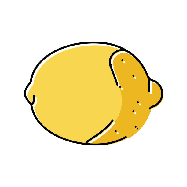 柠檬水果颜色图标矢量插图图片下载