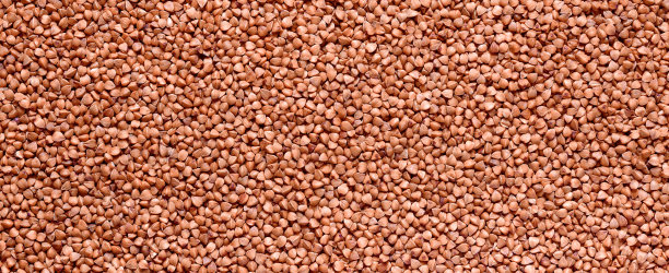 荞麦粒特写背景设计图片下载