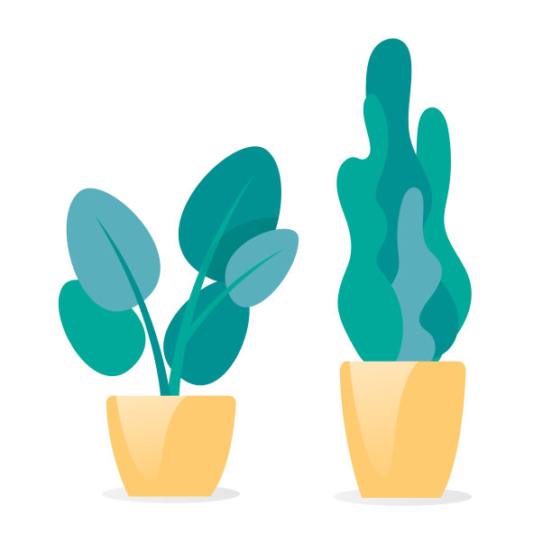 两种绿色植物在家里设置室内设计图片下载