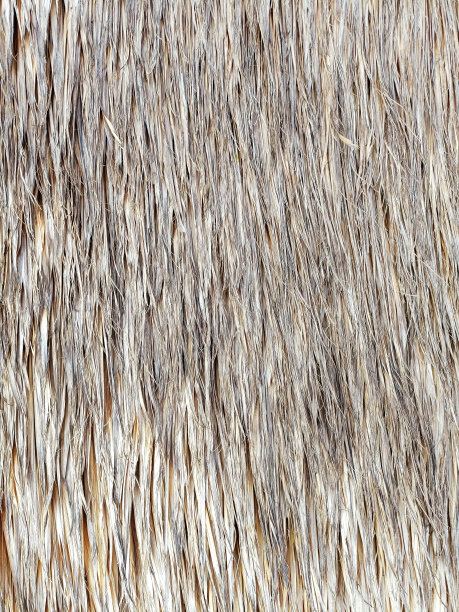 原始草茅草屋顶垂直背景纹理图片下载