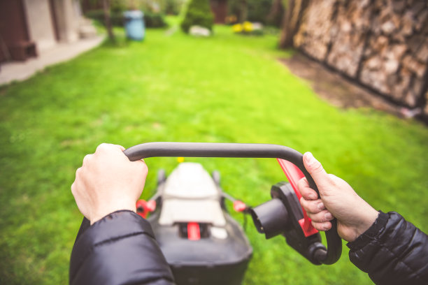 园丁用电动割草机割绿草坪。后院保健概念。图片下载