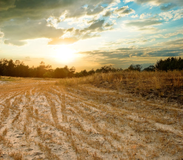 晚上草原图片下载