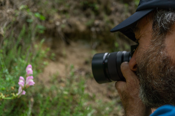 带着胡子和帽子的男人在拍一朵花图片下载