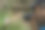 带着胡子和帽子的男人在拍一朵花图片下载