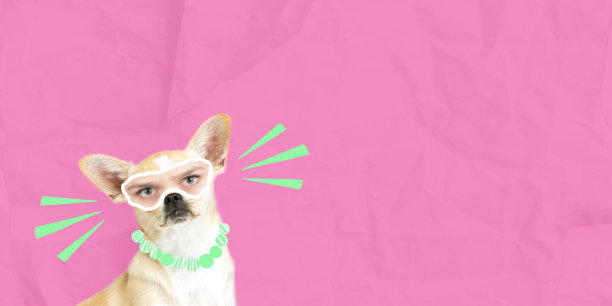 当代艺术拼贴。有趣的图片狗的口吻与人眼元素孤立在粉红色的背景图片下载