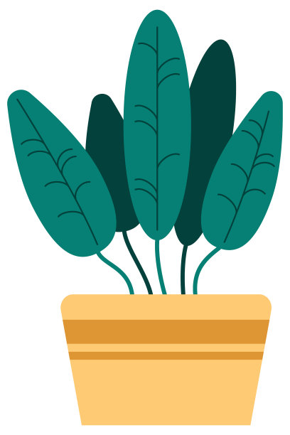 室内盆栽植物为家庭花园室内盆栽植物中的一种图片下载