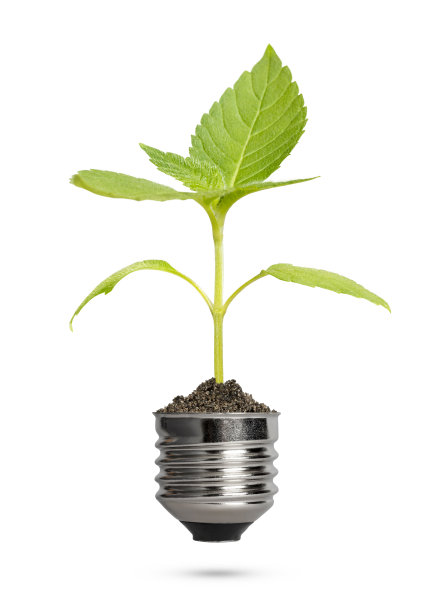 绿色能源理念与植物灯泡图片下载