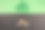 纸做的树，根在地上图片下载