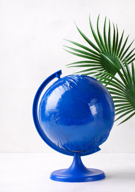 蓝色的球形模型和白色的棕榈叶图片下载
