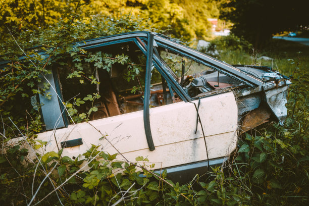 废弃的汽车残骸在森林里生锈图片下载